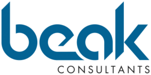 Beak consultants logo