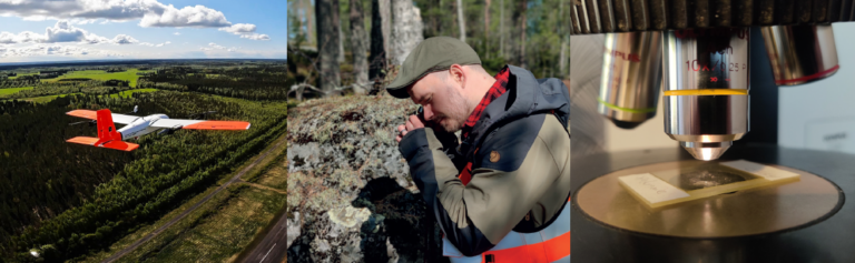 Radai and Nordic Geoservices capabilities